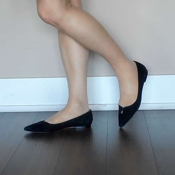 ๐ 2X HOST PICK ๐ Sam Eldman Pointy Toe Ballerina Flats - Picture 5 of 15